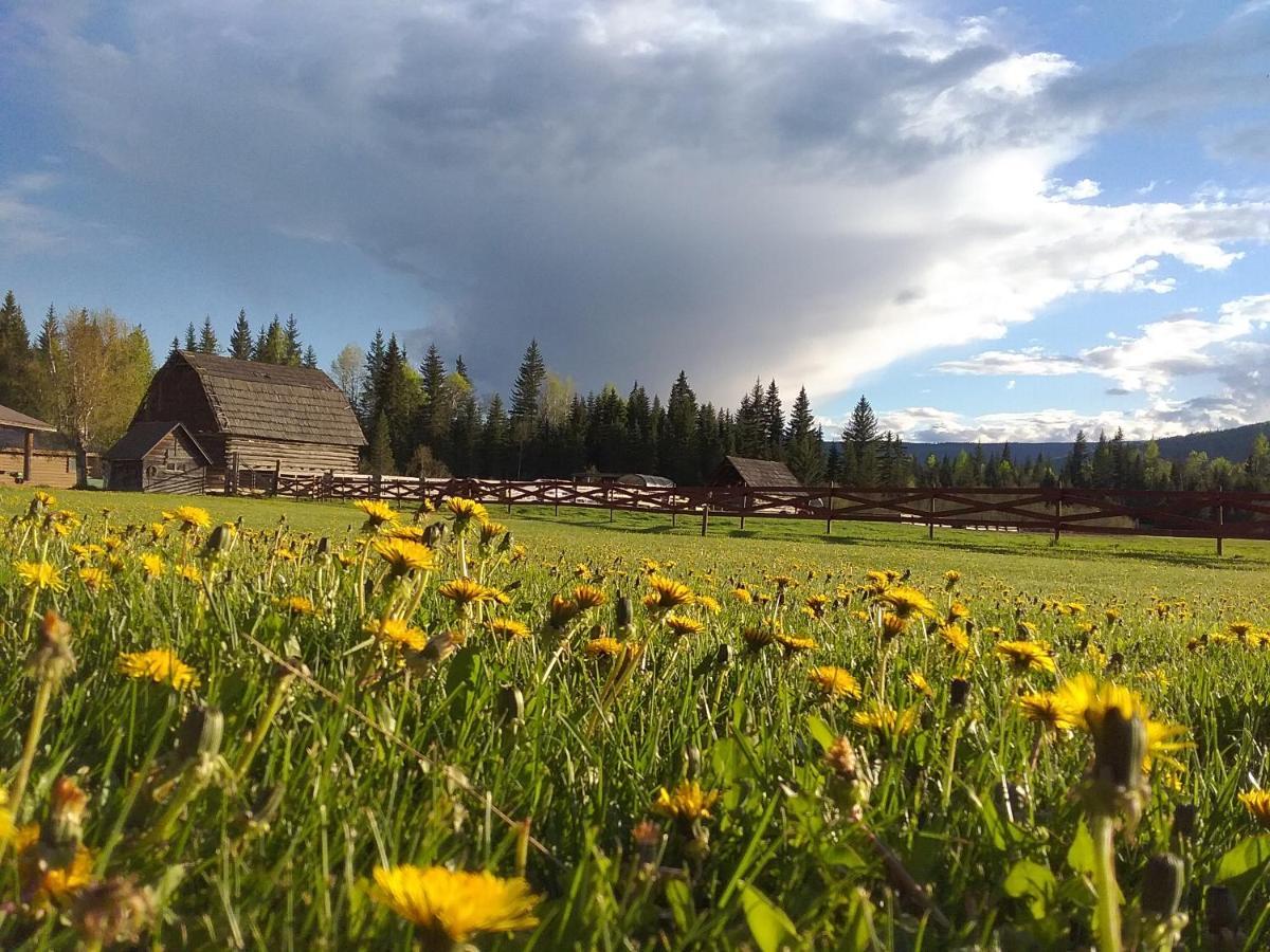 Hôtel Wells Gray Guest Ranch à Clearwater Extérieur photo